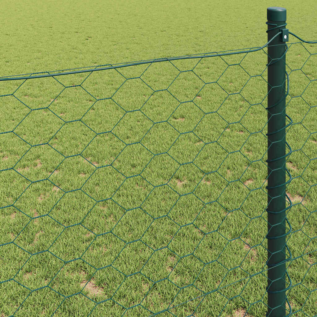 Hexagon Hek Groen 0,8 x 25 m PVC
