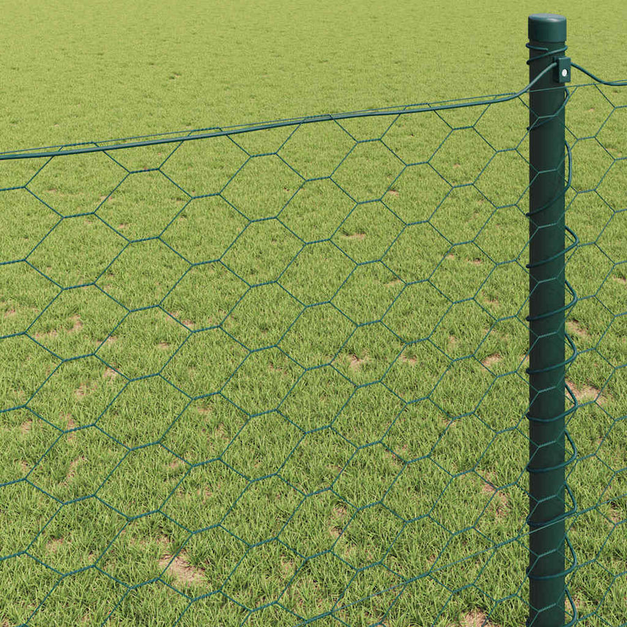 Hexagon Hek Groen 0,8 x 25 m PVC