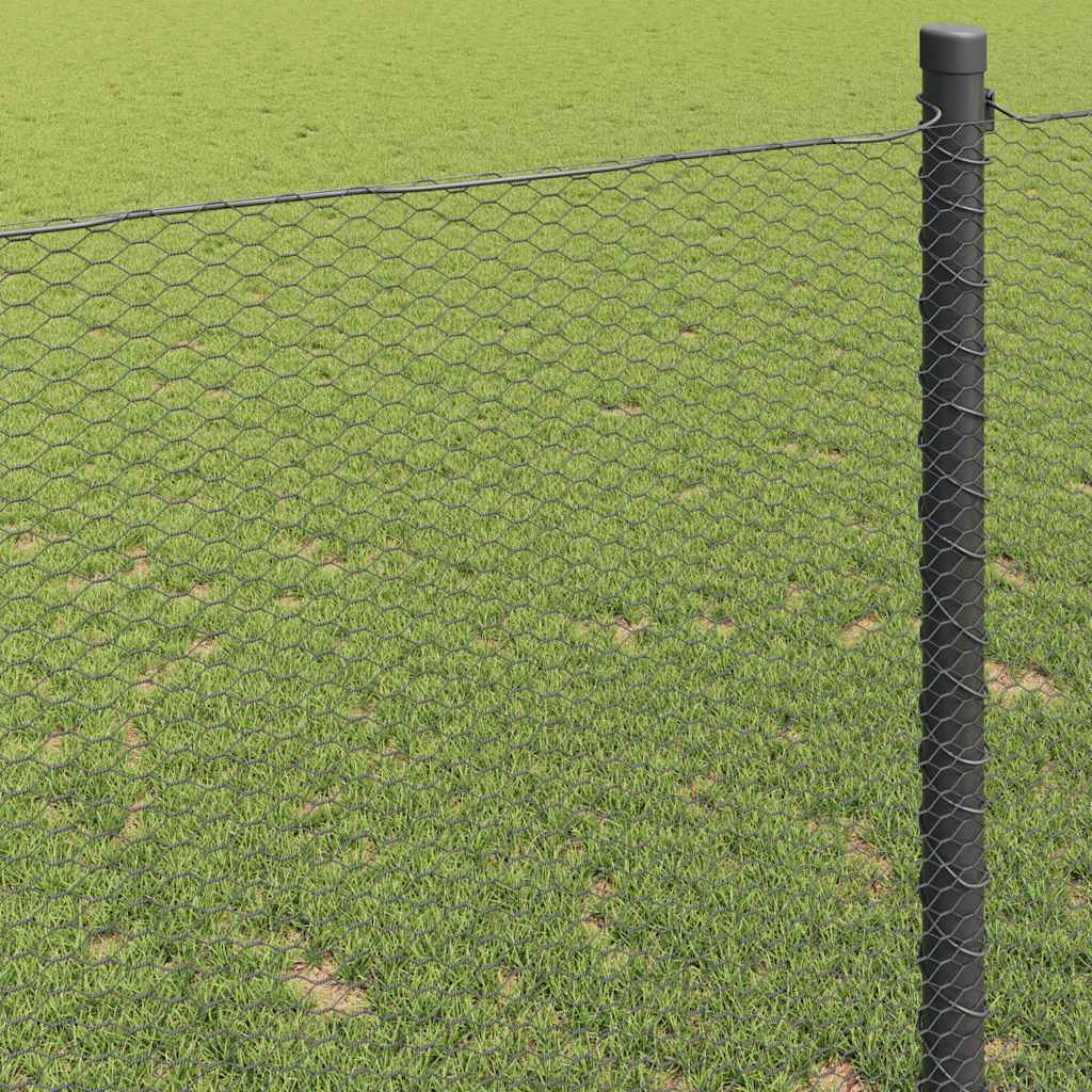 Hexagon Hek Grijs 1,2 x 50 m PVC