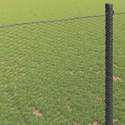 Hexagon Hek Grijs 1,2 x 50 m PVC