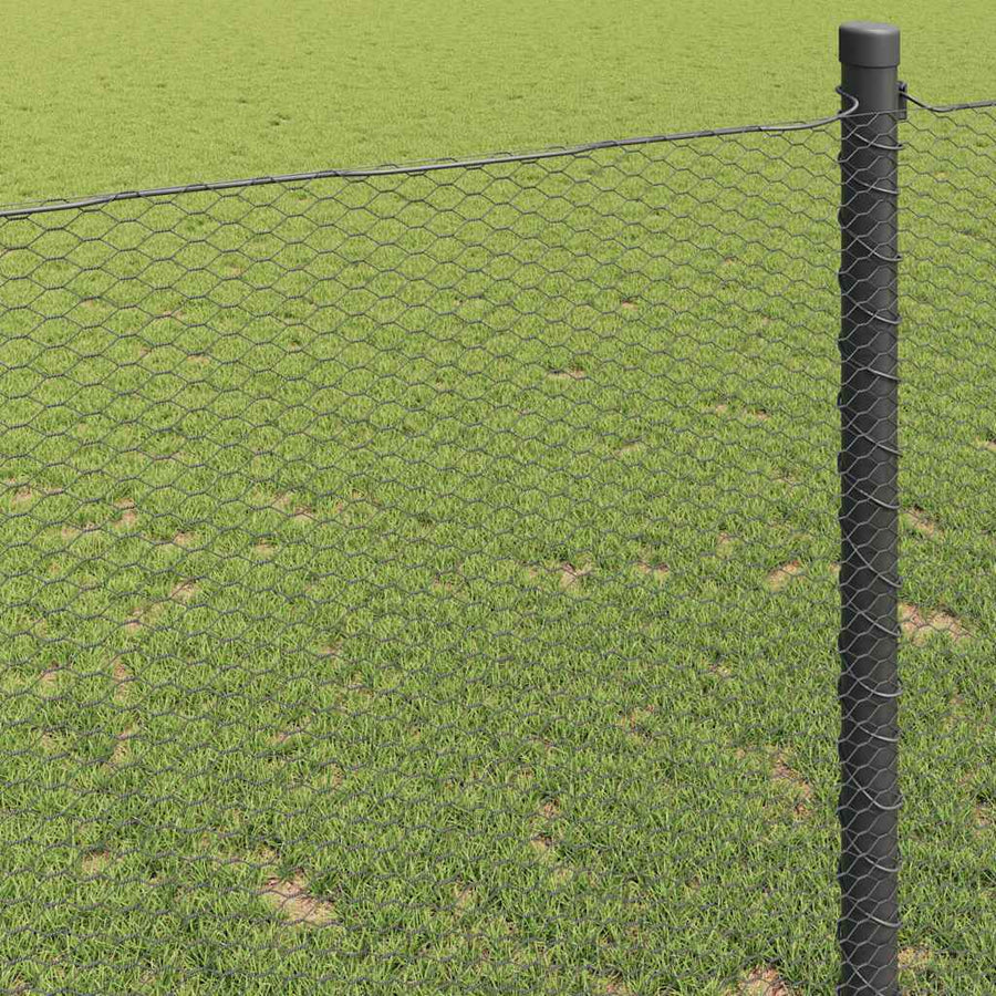 Hexagon Hek Grijs 1,2 x 50 m PVC