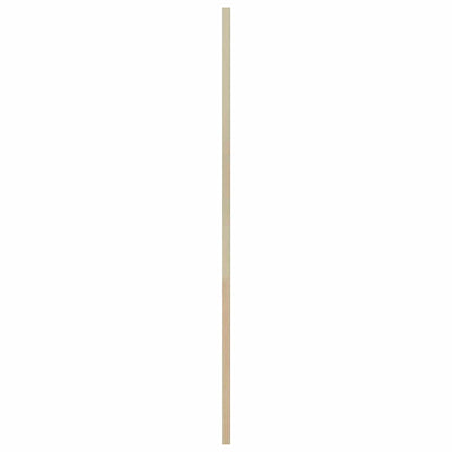 Kastdeur Anders Bruin 110 x 59.5 x 2.1 cm Massief grenenhout