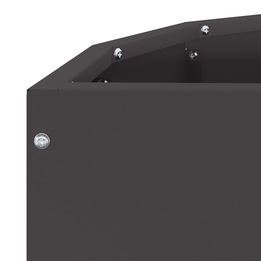 Plantenbak Zwart 60 x 30 x 50 cm Staal