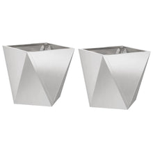 Plantenbak 2 pcs Zilver 30 x 30 x 30 cm Roestvrij staal