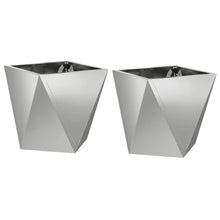 Plantenbak 2 pcs Zilver 30 x 30 x 30 cm Gegalvaniseerd staal