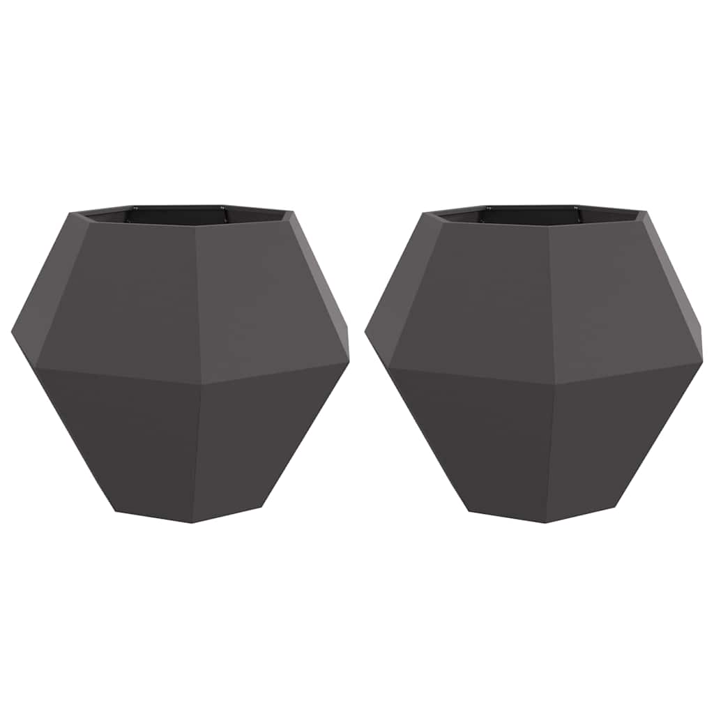 Plantenbak 2 pcs Zwart 100 x 100 x 80 cm Staal