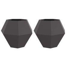 Plantenbak 2 pcs Zwart 100 x 100 x 80 cm Staal