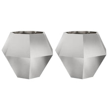 Plantenbak 2 pcs Zilver 100 x 100 x 80 cm Roestvrij staal