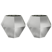 Plantenbak 2 pcs Zilver 100 x 100 x 80 cm Gegalvaniseerd staal