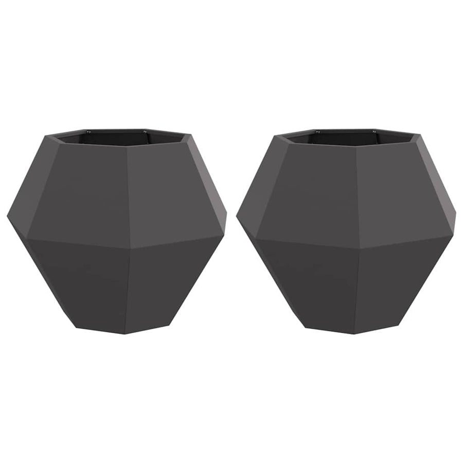 Plantenbak 2 pcs Zwart 75 x 75 x 60 cm Staal