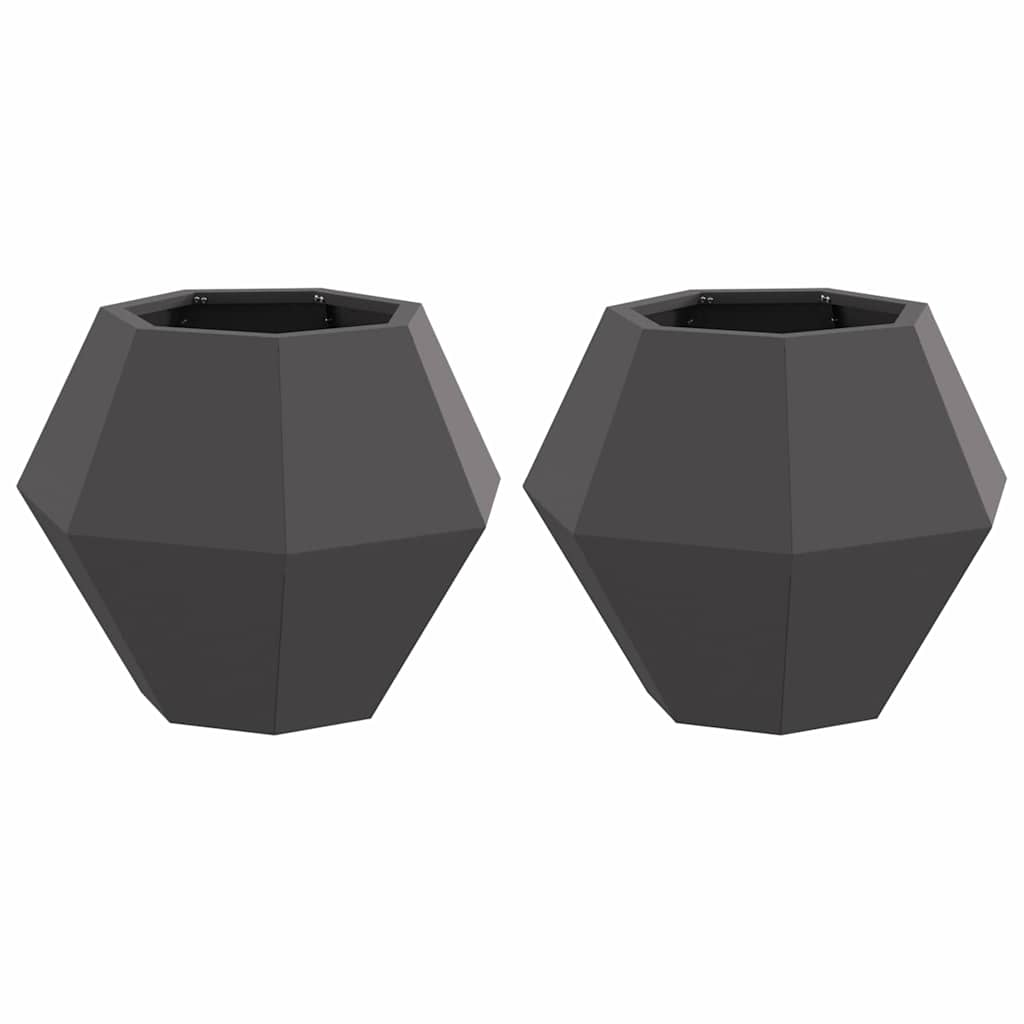 Plantenbak 2 pcs Zwart 50 x 50 x 40 cm Staal