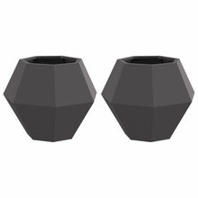 Plantenbak 2 pcs Zwart 50 x 50 x 40 cm Staal