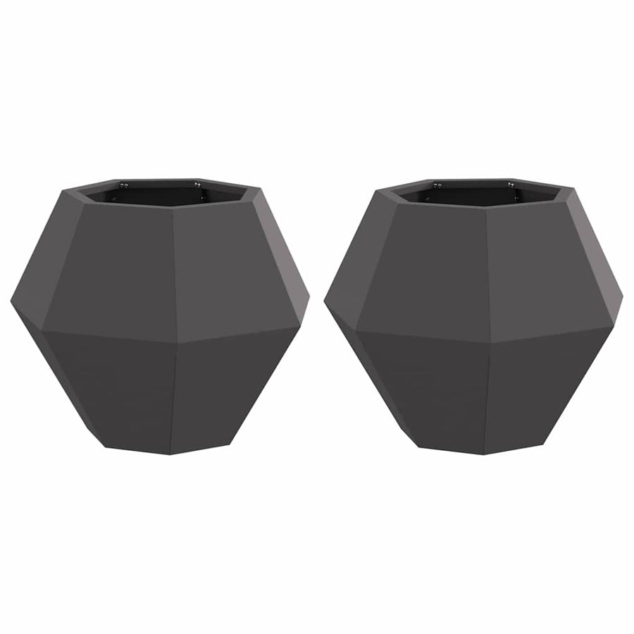 Plantenbak 2 pcs Zwart 50 x 50 x 40 cm Staal