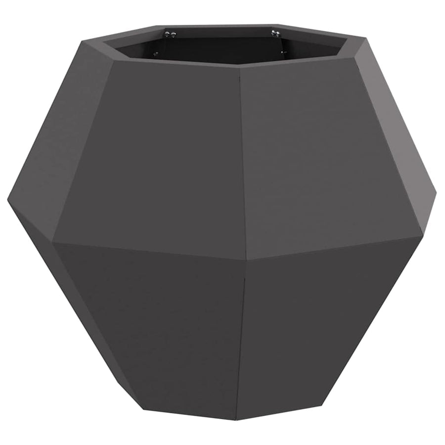 Plantenbak 2 pcs Zwart 50 x 50 x 40 cm Staal