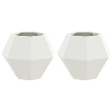 Plantenbak 2 pcs Wit 50 x 50 x 40 cm Staal