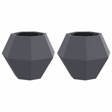 Plantenbak 2 pcs Antraciet 50 x 50 x 40 cm Staal