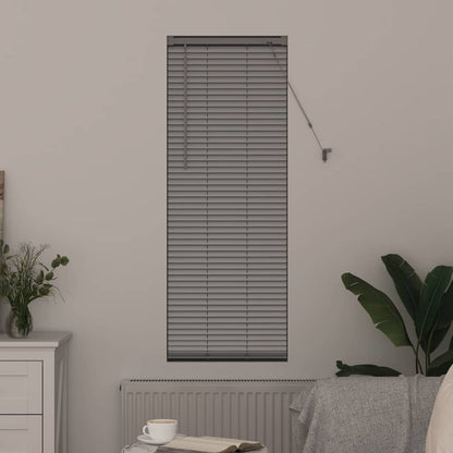 Raam Blind met gordijnen Zilver 80 x 130 cm Aluminium