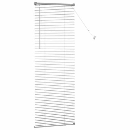 Raam Blind met gordijnen Zilver 80 x 130 cm Aluminium