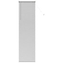 Raam Blind met gordijnen Anders Zilver 60 x 220 cm Aluminium
