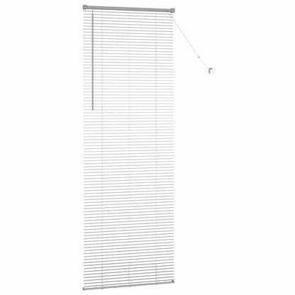 Raam Blind met gordijnen Anders Zilver 80 x 130 cm Aluminium