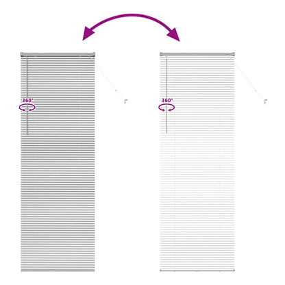 Raam Blind met gordijnen Anders Zilver 80 x 130 cm Aluminium