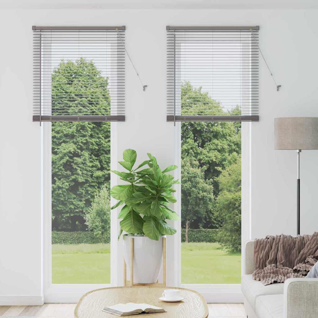 Raam Blind met gordijnen Anders Zilver 80 x 220 cm Aluminium