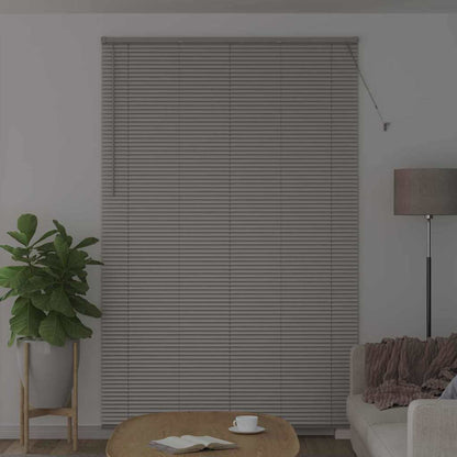 Raam Blind met gordijnen Anders Zilver 80 x 130 cm Aluminium