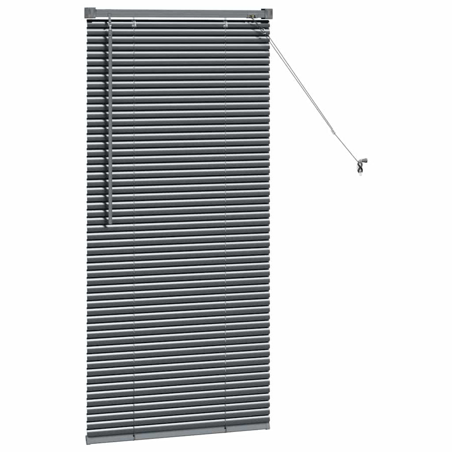 Raam Blind met gordijnen Anders Donkergrijs 60 x 130 cm Aluminium