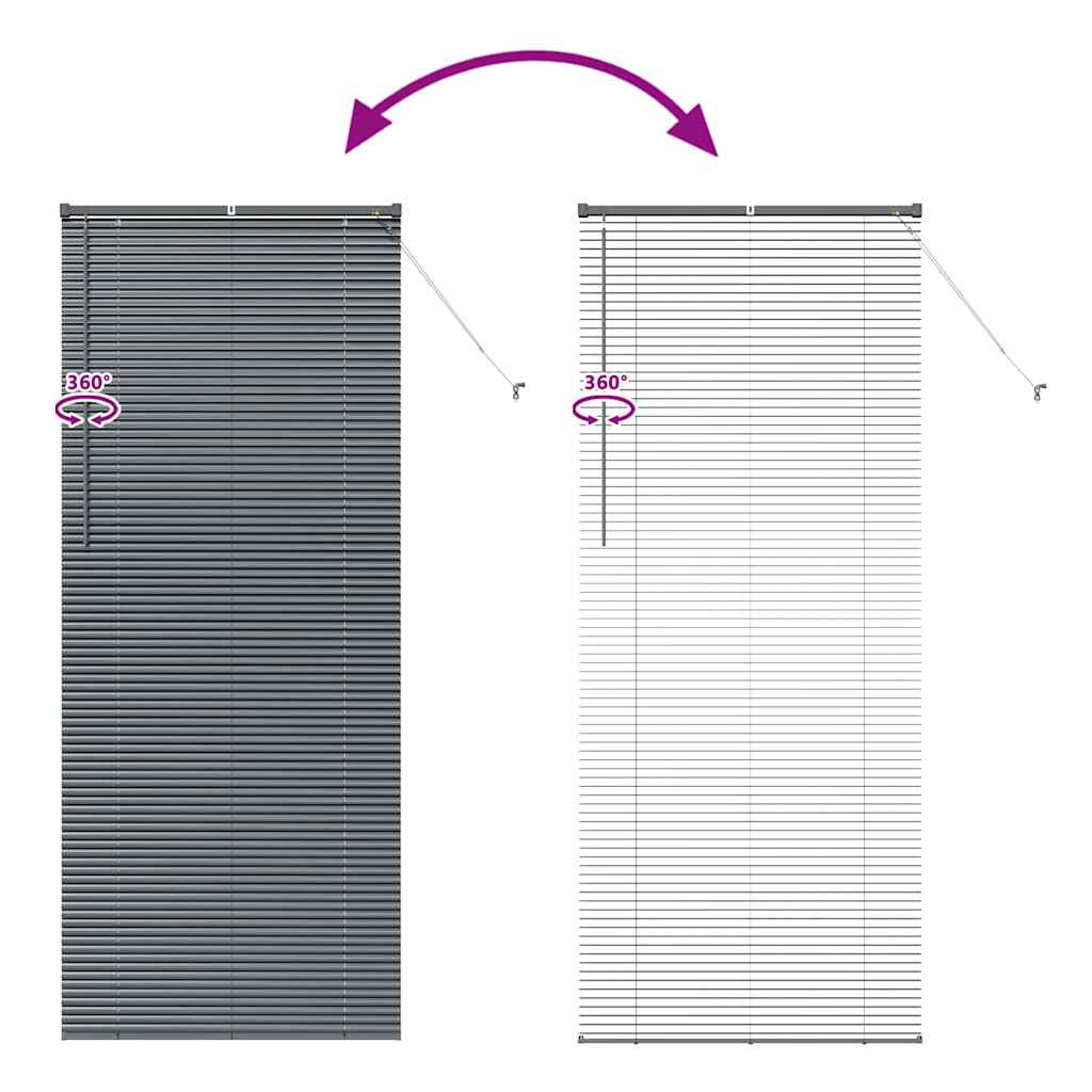 Raam Blind met gordijnen Anders Donkergrijs 90 x 220 cm Aluminium