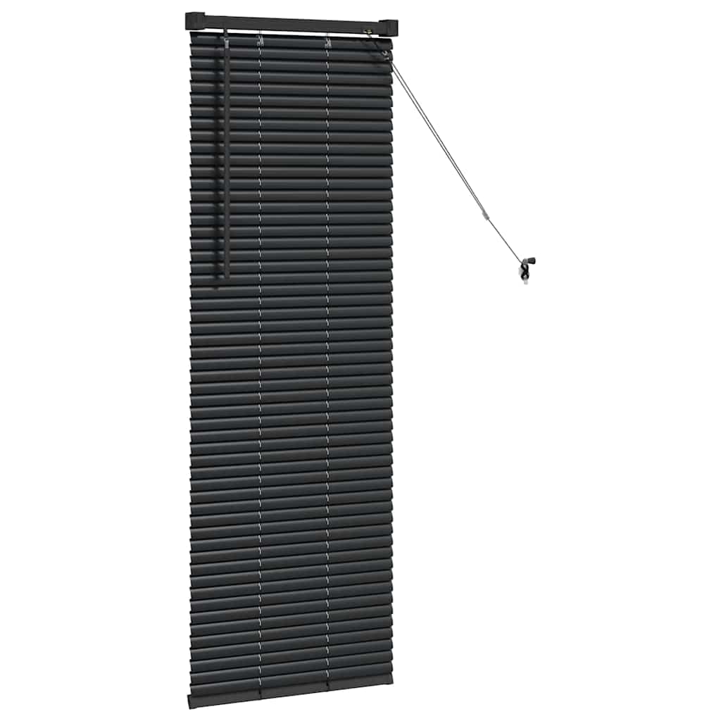 Raam Blind met gordijnen Anders Zwart 80 x 130 cm Aluminium