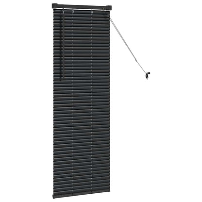 Raam Blind met gordijnen Anders Zwart 80 x 130 cm Aluminium