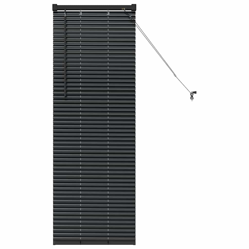 Raam Blind met gordijnen Anders Zwart 80 x 130 cm Aluminium