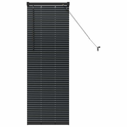 Raam Blind met gordijnen Anders Zwart 80 x 130 cm Aluminium