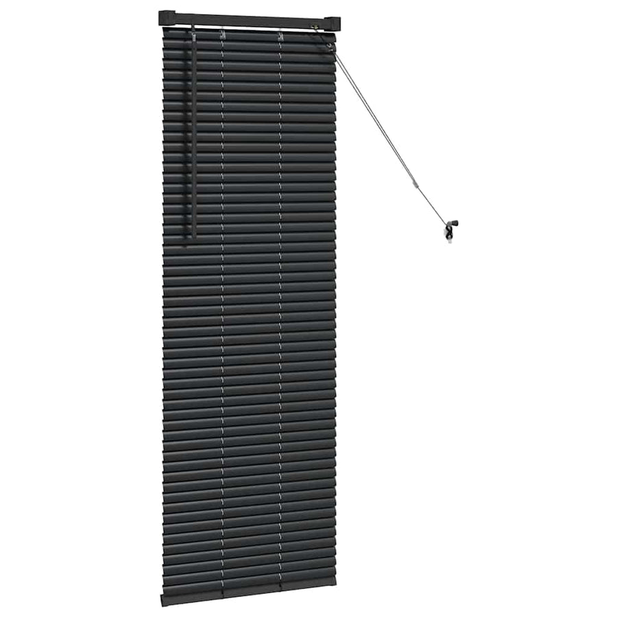 Raam Blind met gordijnen Anders Zwart 80 x 130 cm Aluminium