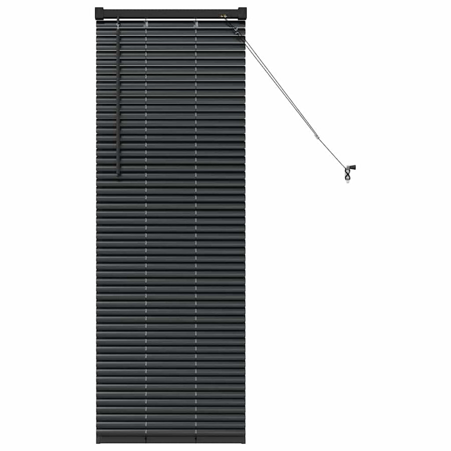 Raam Blind met gordijnen Anders Zwart 80 x 130 cm Aluminium