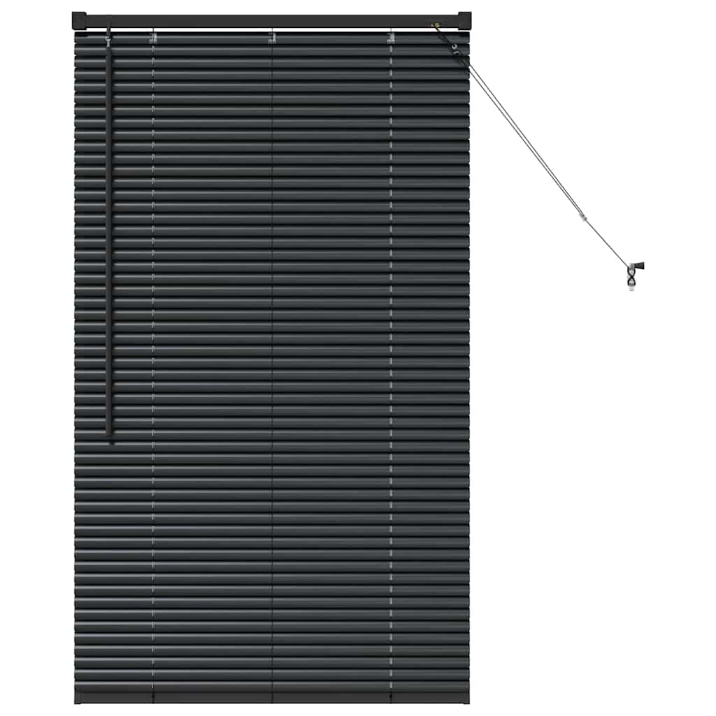 Raam Blind met gordijnen Anders Zwart 80 x 130 cm Aluminium