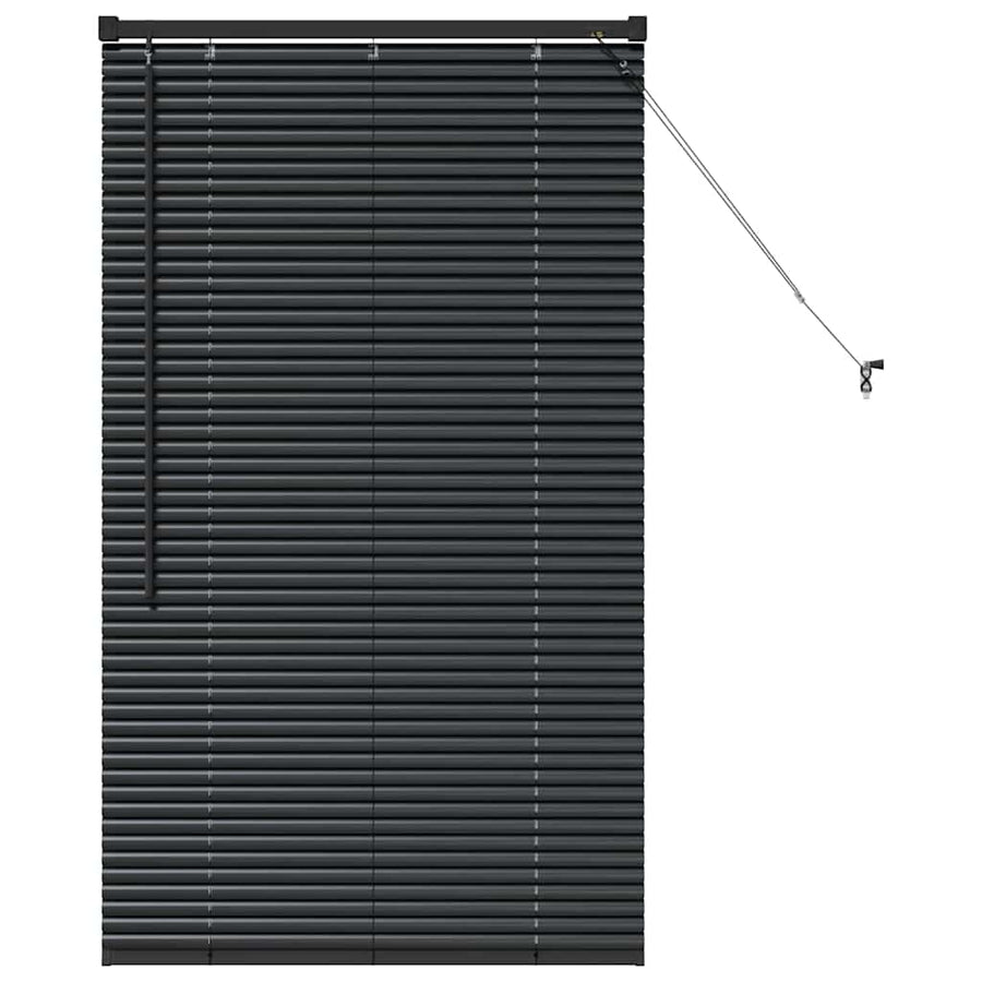 Raam Blind met gordijnen Anders Zwart 80 x 130 cm Aluminium