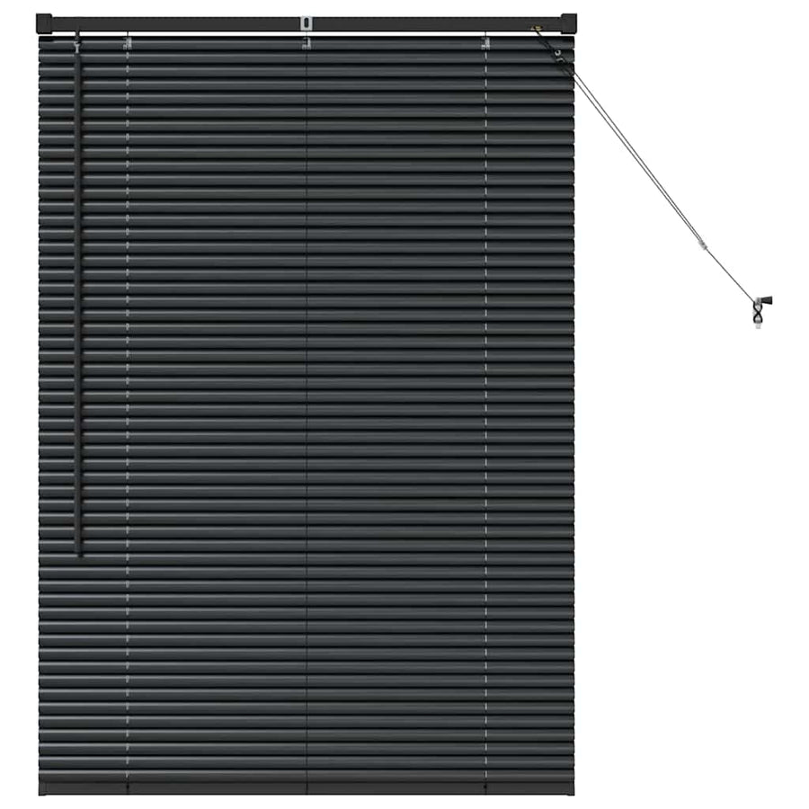 Raam Blind met gordijnen Anders Zwart 80 x 130 cm Aluminium