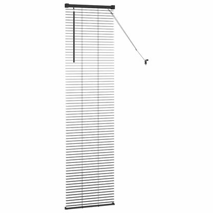 Raam Blind met gordijnen Anders Zwart 80 x 130 cm Aluminium
