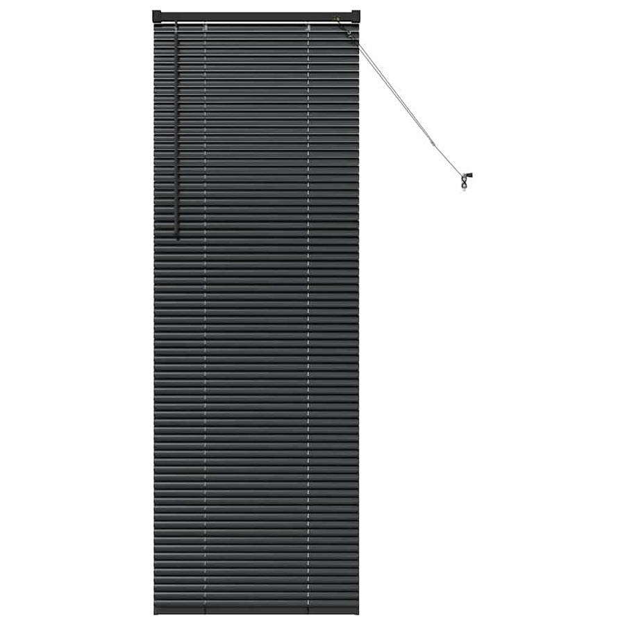 Raam Blind met gordijnen Anders Zwart 80 x 130 cm Aluminium