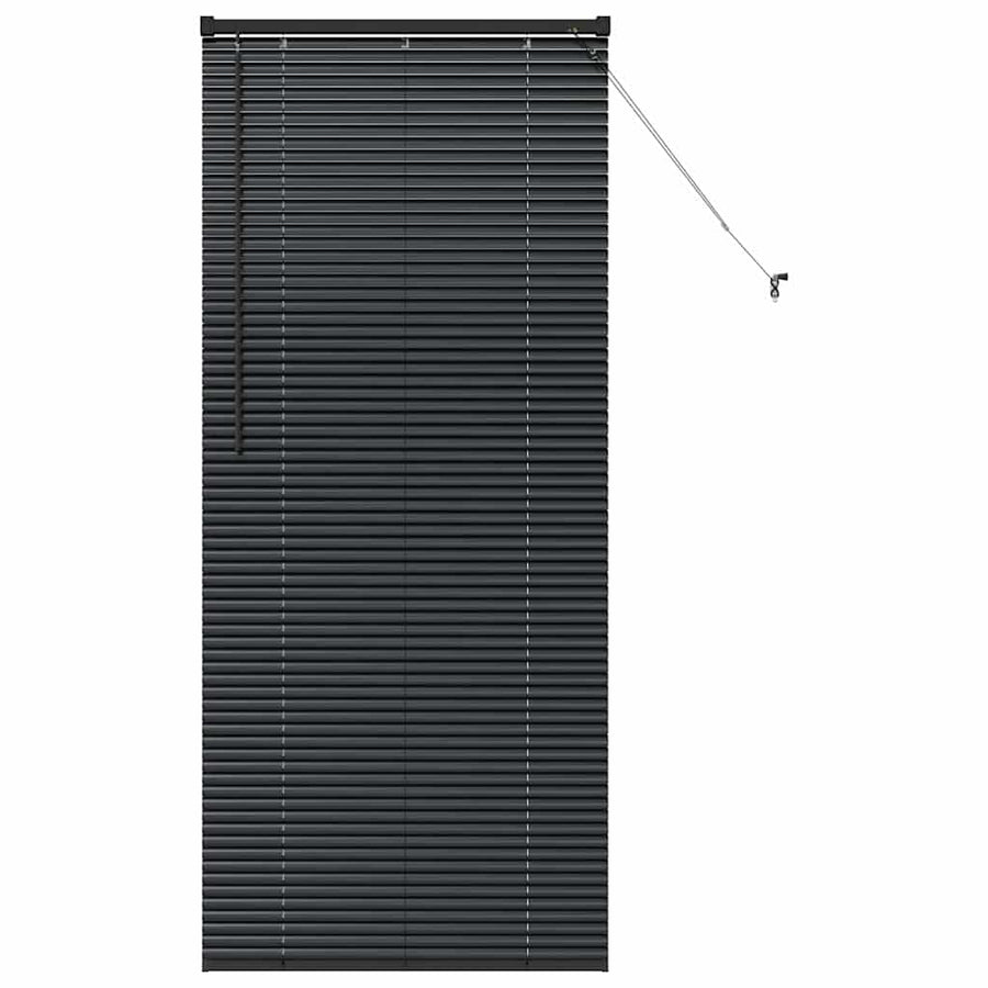 Raam Blind met gordijnen Anders Zwart 80 x 130 cm Aluminium