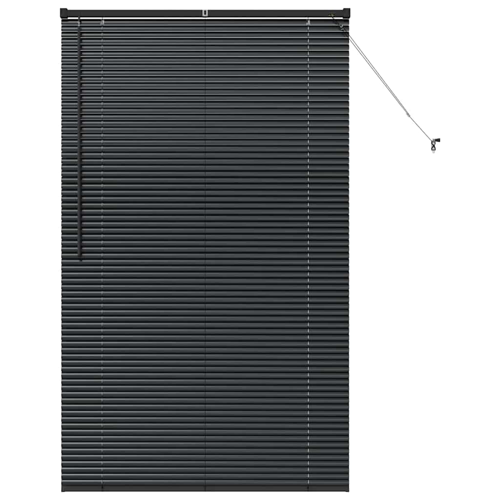 Raam Blind met gordijnen Anders Zwart 100 x 175 cm Aluminium