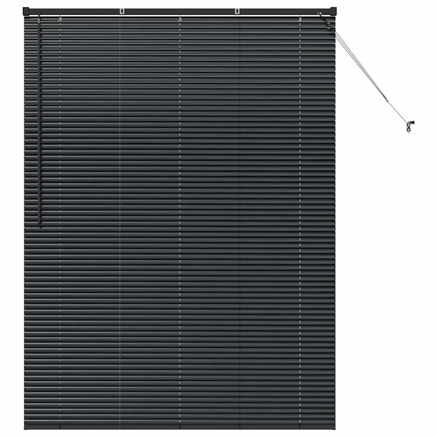 Raam Blind met gordijnen Anders Zwart 125 x 175 cm Aluminium