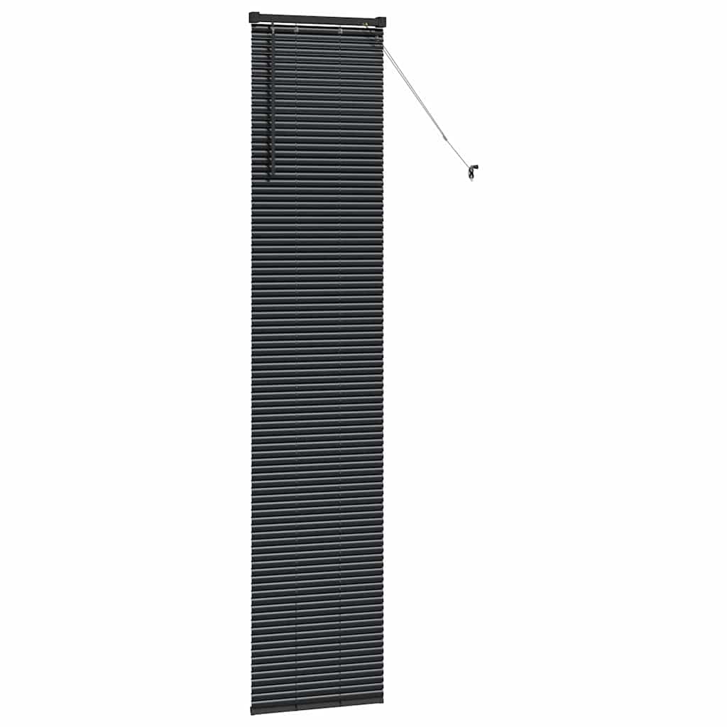 Raam Blind met gordijnen Anders Zwart 40 x 220 cm Aluminium
