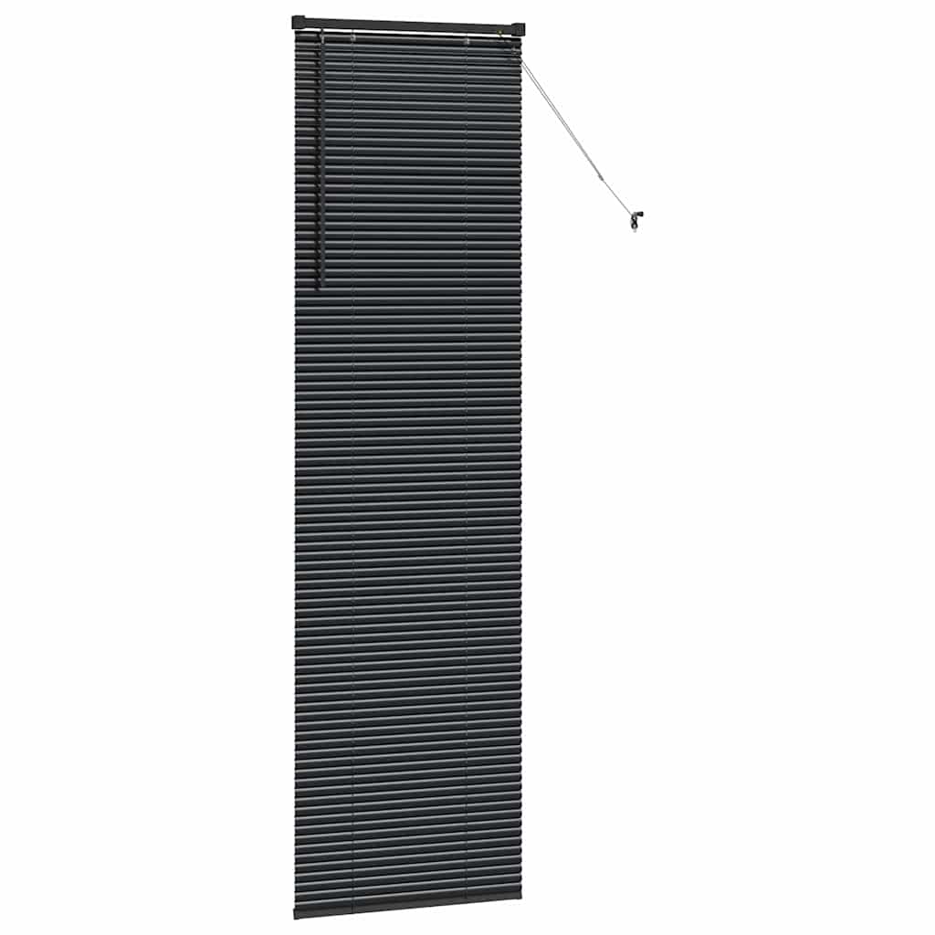 Raam Blind met gordijnen Anders Zwart 60 x 220 cm Aluminium