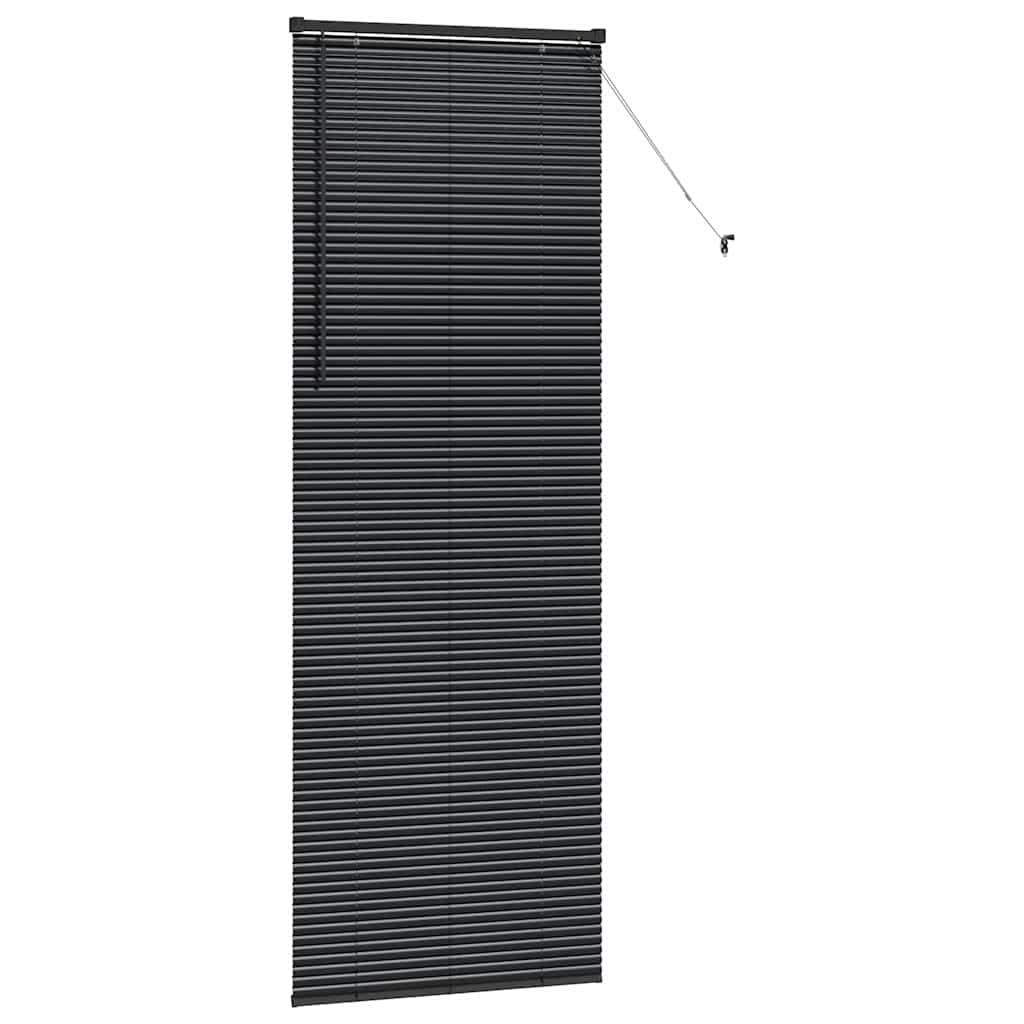 Raam Blind met gordijnen Anders Zwart 80 x 130 cm Aluminium