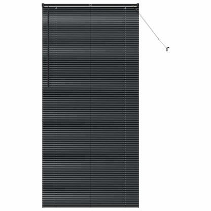 Raam Blind met gordijnen Anders Zwart 100 x 220 cm Aluminium