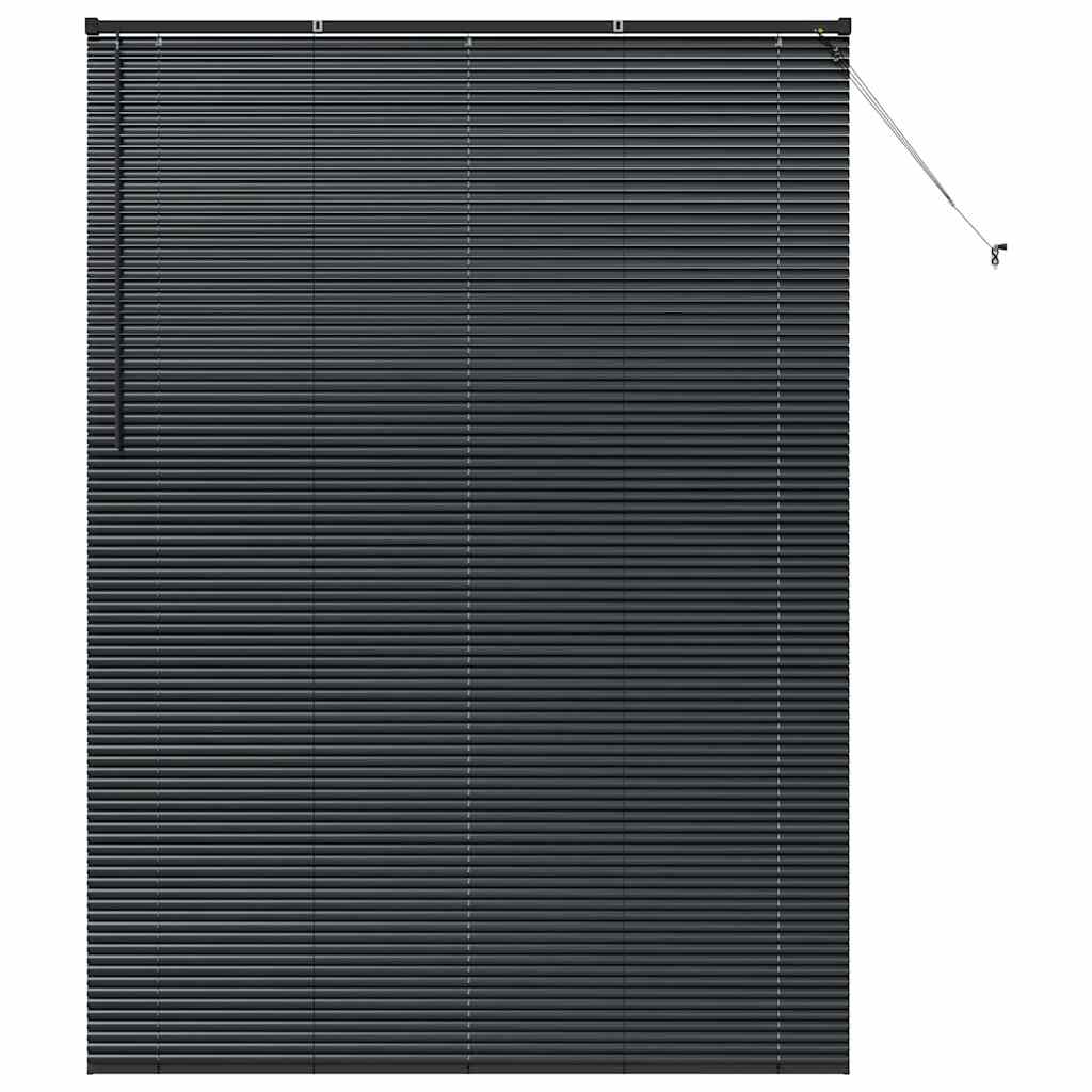 Raam Blind met gordijnen Anders Zwart 160 x 220 cm Aluminium