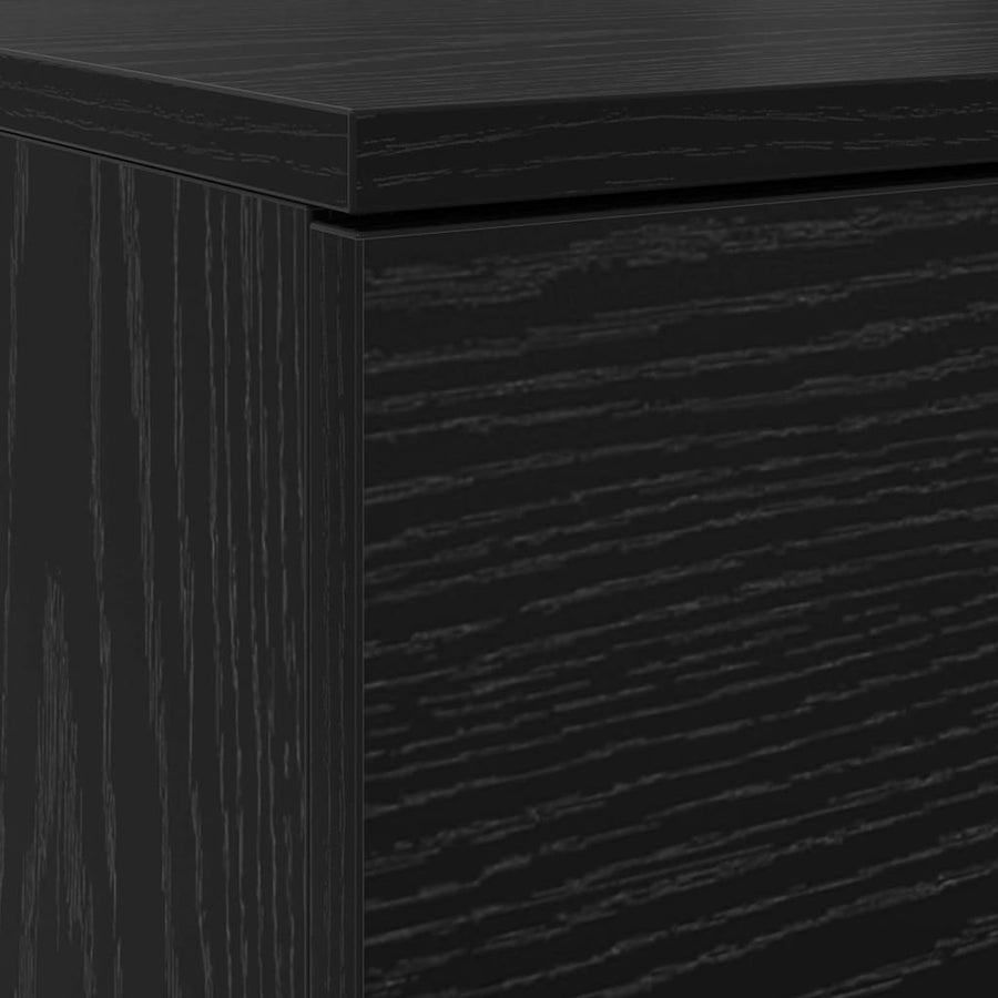 Schoenenkast Zwart Eiken 100,5 x 28 x 100 cm Bewerkt hout
