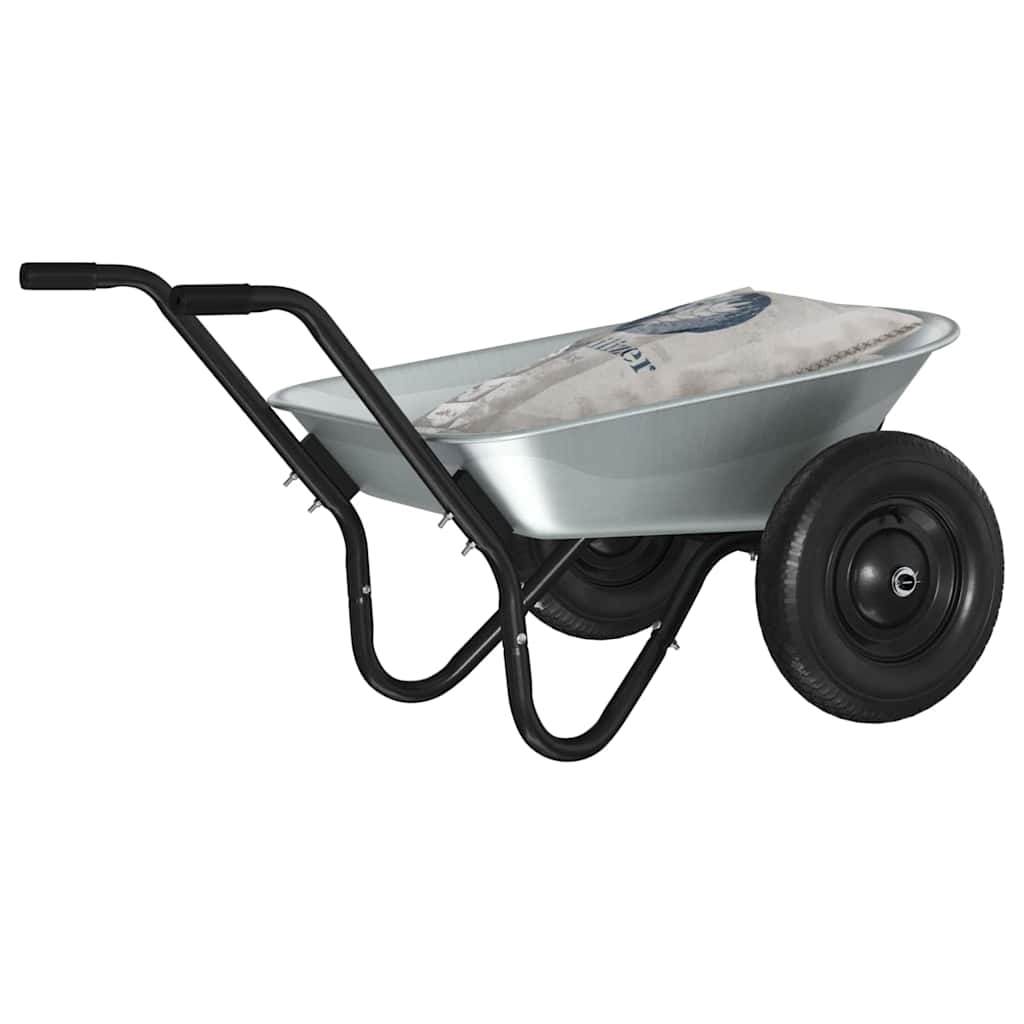 Kruiwagen Zilver en Zwart 124 x 73 x 65 cm Staal